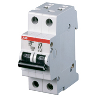 Disjuntor Bipolar DIN 40A